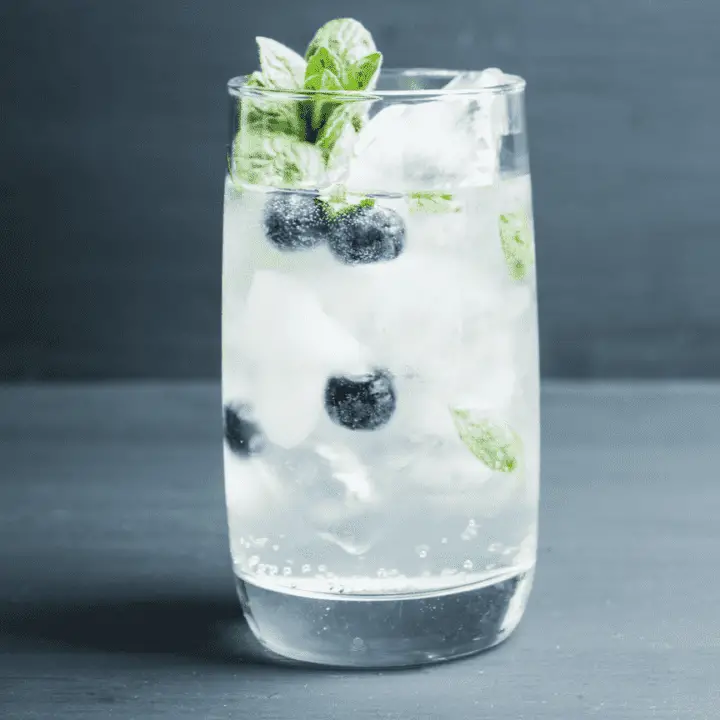 Blueberry Gin Fizz Cocktail