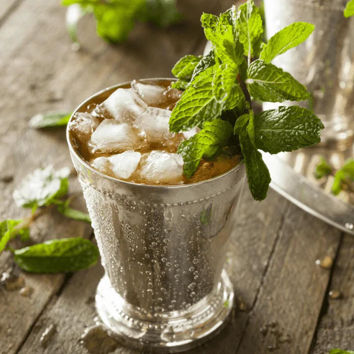 Mint Julep Cocktail